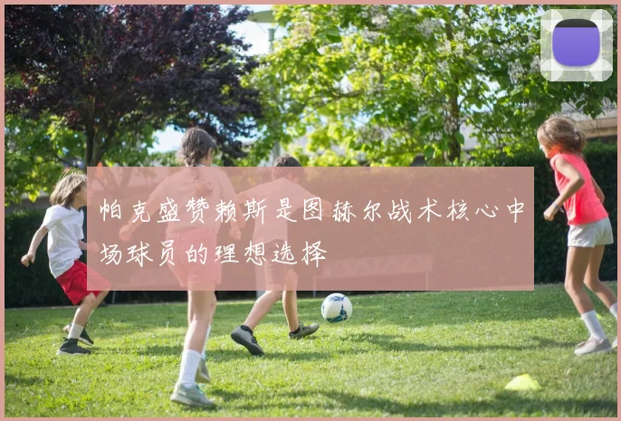 帕克盛赞赖斯是图赫尔战术核心中场球员的理想选择
